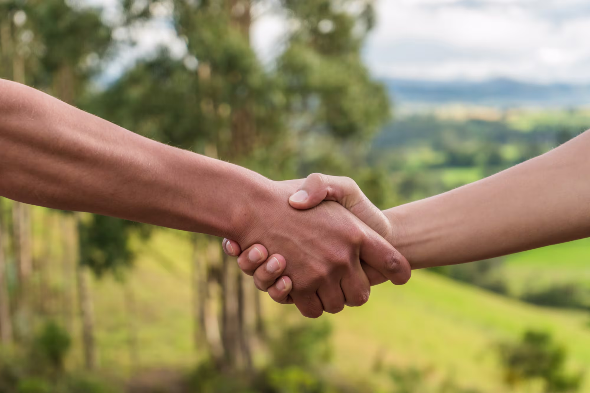 Helping Hands