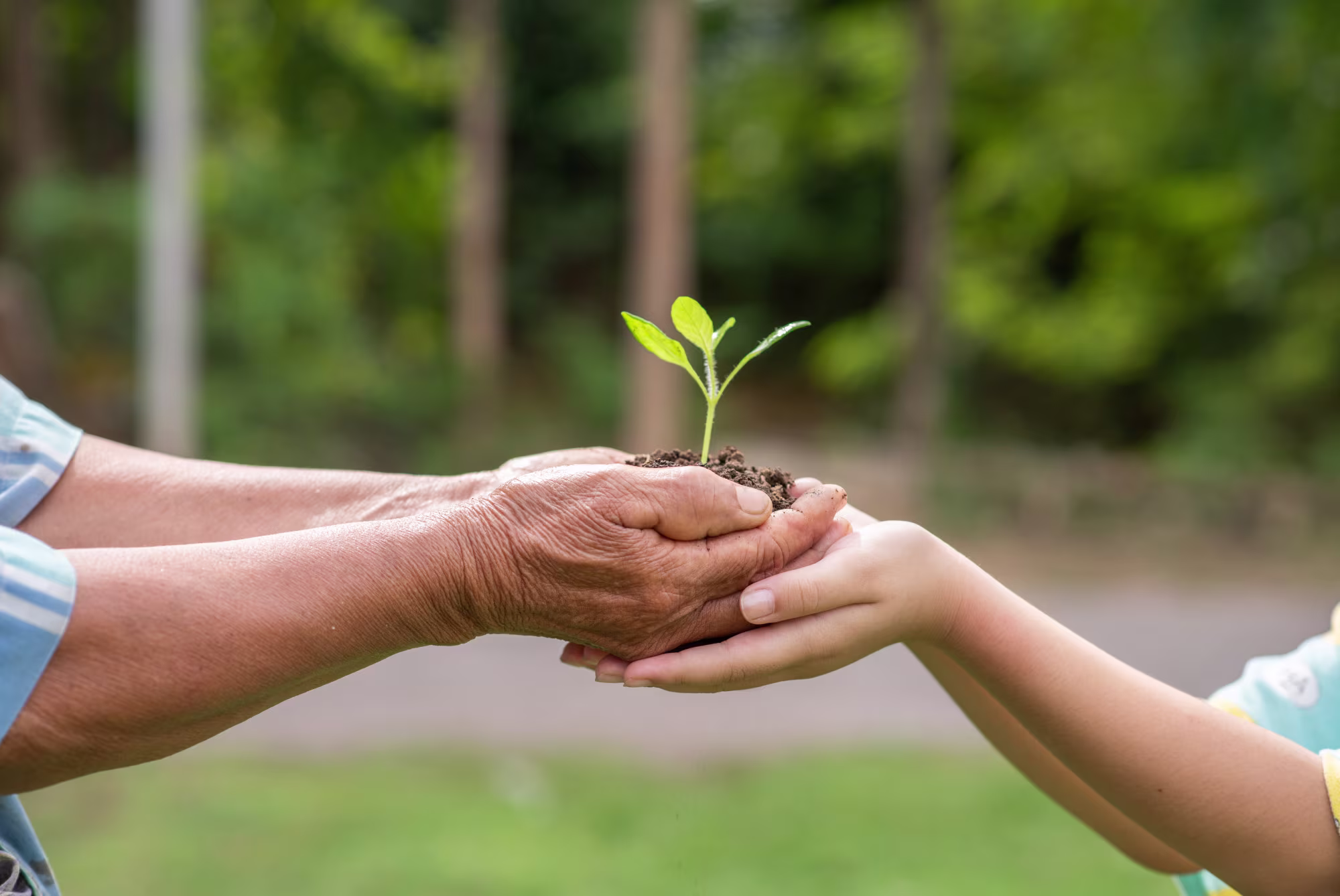 Helping Hands